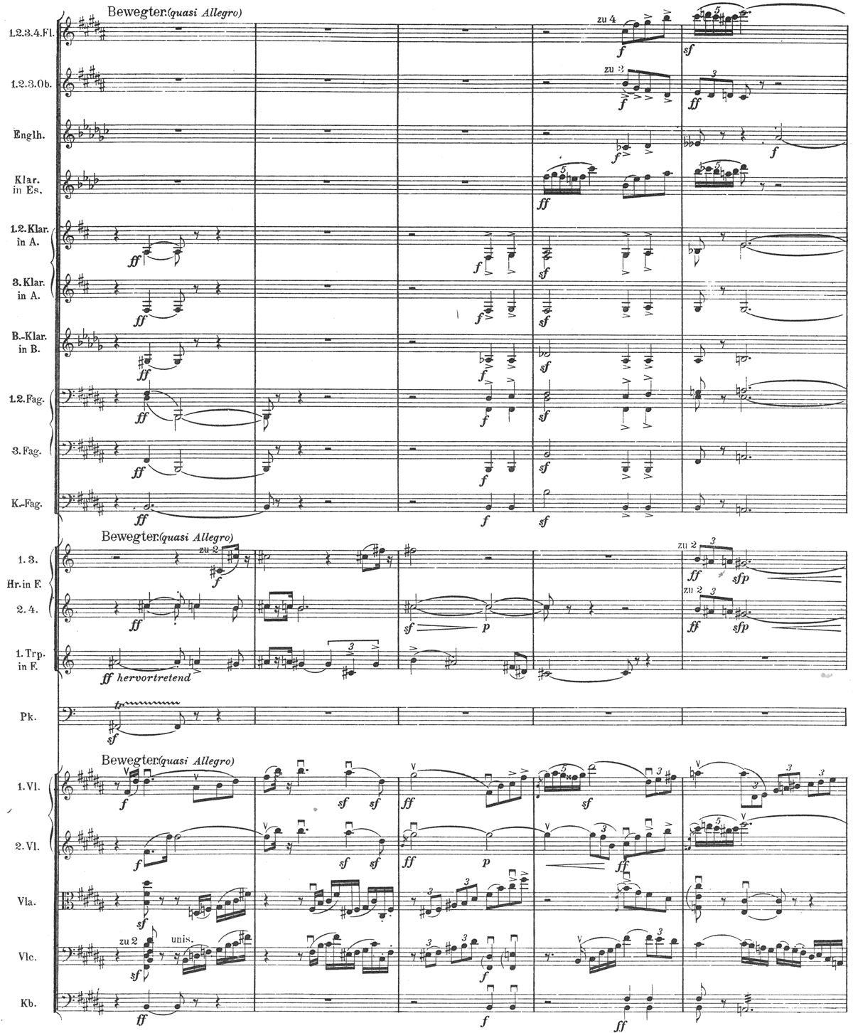 symphony orchestra layout